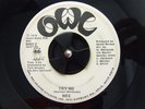 Rare 70s Soul 45 WEE Try Me on Owl