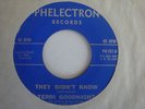 TERRI GOODNIGHT They Didnt Know 45 RARE Northern soul
