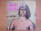 BRIAN WILSON, ADULT CHILD. Mint LP. BEACH BOYS