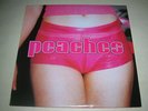 PEACHES The Teaches of Peaches 2xLP 2000 Electro MINT-