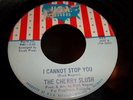 The Cherry Slush -I Cannot Stop- Garage Psych 45 HEAR