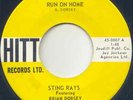 STING RAYS - RUN ON HOME -SURF ROCK 45 -1963 CANADA