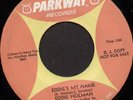 Rare Northern Soul 45 - EDDIE HOLMAN (Parkway DJ)
