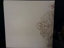 DAMIEN JURADO And Now That I'm in Your Shadow 2-LP OOP