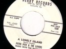 starday custom 45 PETER PETE & LOVERS doo wop /rocker