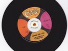 Northern Soul 45 LEE ANDREWS Never The Less HEAR
