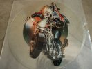 IRON MAIDEN Infinite Dreams Uncut Picture Disc