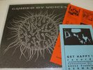 GUIDED BY VOICES DEVIL BETWEEN MY TOES LP EX GBV RARE