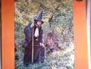 Grey Wizard am I ORIG. VINYL RELEASE Gandalf the Grey