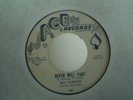 BILL HORTON/SILHOUETTES Never Part 45 VG ACE R&B RARE