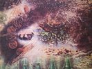 PINK FLOYD-a saucerfull of secrets-prog-israeli promo