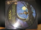 IRON MAIDEN  FEAR OF THE DARK  PICTURE DISC