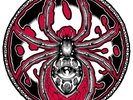 Spiders RARE 7