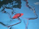ART COVER ANDY WARHOL QUERELLE ITALY 