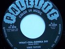 VINCE TAYLOR ON PALETTE / WHAT-CHA-GONNA DO - HEAR