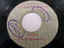 LLOYD CHARMERS - SAFARI / BLANK 7