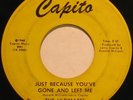 THE ULTIMATES Just Because... RARE SWEET/GROUP SOUL 45