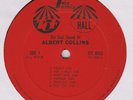ALBERT COLLINS 