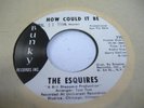 Soul Promo 45 THE ESQUIRES How Could It Be on Bunky (Pr