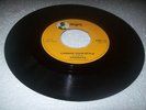 ANGEN/CHANGE YOUR STYLE - VICEROYS [REGGAE]  7