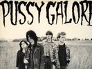 PUSSY GALORE GROOVY HATE FUCK SHOVE