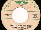 RARE Hillbilly Rockabilly 45 JIM RANKIN Peach 570 Hear