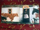 VASHTI BUNYAN Just Another Diamond Day ORIGINAL UK LP