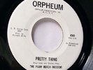 Rock 45 * Plum Beach Incident * Pretty Thing * Mint-
