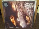 Order From Chaos Stillbirth Machine LP original