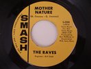 The Raves,  Garage band 45 record 