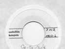 Sg. -  RALF BENDIX  - GO GO GIRL     -   weisse PROMO