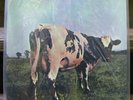 Pink Floyd Atom Heart Mother MFSL- 1-202 Anadisc 200 LP