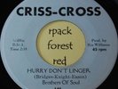 BROTHERS OF SOUL - Hurry Don't Linger -  CRISS-CROSS