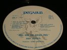 Andy Roberts Nina And The Dream Tree LP UK PEGASUS 71