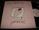 Beat Happening - Jamboree LP Rough US 30 Indian Summer