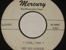 DEE DEE WARWICK FIRE UNRELEASED Lost Northern Soul 45 ?