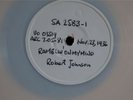 ROBERT JOHNSON WHITE VINYL TEST PRESSING BLUES 78 RPM E