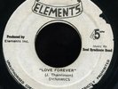 Dynamics - Love Forever (Bim Sherman) RARE 45 ??