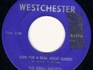 Small Society/Westchester 68 Virginia MN tuff fuzz HEAR