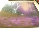 TORGEIST-VLAD TEPES  black legions   LP  -