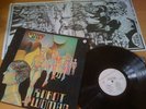 MOTHER GONG  'Robot Woman' UK LP 1981 BUTT003 LYRICS