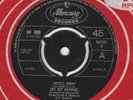 45 Dee Dee Warwick LOVER'S CHANT/WORTH EVERY TEAR I CRY