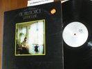 Michael Monroe/Summer Rain/Minnesota private press vinyl LP/near mint condition