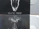 Celtic Frost 12