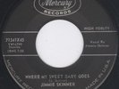 Country Bop Rockabilly   Jimmie Skinner   Sweet Baby Go