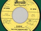 FIVE DEBONAIRES Darlin' 45rpm Herald 1958 autographed?