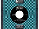 TERRY +CHAIN REACTION garage mod surf 45 UA  HEAR BOTH