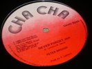 Peter Broggs Never Forget Jah Killer Roots 12