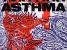 Teriyaki Asthma nirvana MINT