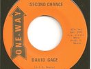 DAVID GAGE 45  Second Chance